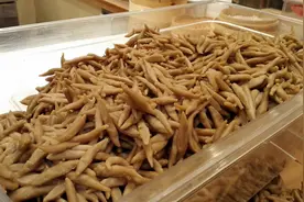 寒假在西贝莜面村打工实感：千万不要去西贝图片
