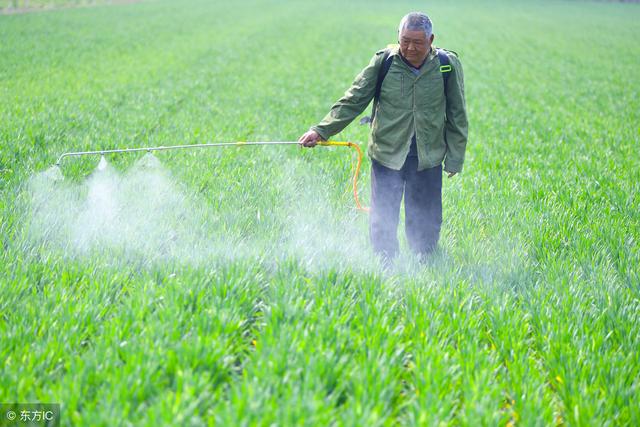 含铜农药有哪些？怎么用？看这里！