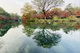 王丽惠：“公司+农户”经营模式的结构困局图片