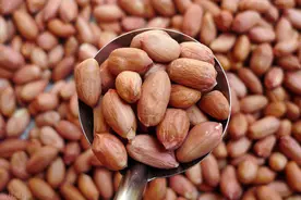 买花生米时，不管红皮还是白皮，老农让我牢记“4不买”，真实用图片