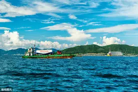 听说单位的同事辞职不干了，为何她会辗转反侧，一夜无眠？图片