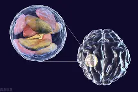 肾囊肿会转变为肾衰竭吗？囊肿破裂会怎么样？身体会出现什么症状图片