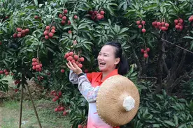 9妹能取得这样的成就，真替她高兴图片