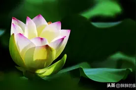 人和人相遇，靠缘分；缘是天意，份是人为；人和人相处，靠诚意图片