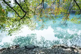 清代诗人的一首夏日抒情诗，其中一字艺术成就超越王安石名句？图片