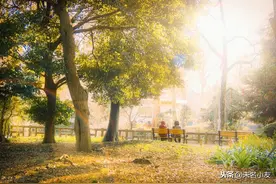 爱情 | 感情就是这样，一物降一物，互不懂珍惜图片