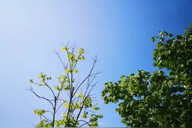 美好的遇见，夏日倾情图片
