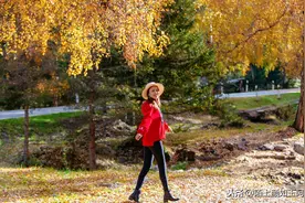 新疆秋日旅拍，穿最漂亮的秋装，看北疆最美的秋色。图片