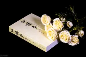 听台湾清华大学杨佳娴老师讲红梦有感：做学问要认真才能让人信服图片