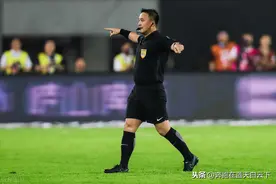 本赛季“石祯禄”争议判罚合集（有视频，有真相）图片