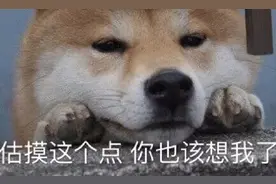 表情包 | 估摸这个点，你也该想我了，嘿嘿图片