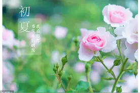 九天诗词群贤集雅绝律篇，第00147期图片