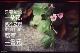 从多元错位来解读《阿Q正传》的艺术审美价值图片