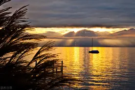 解锁捕鹅的正确姿势图片