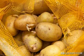今天才明白，原来储存土豆有技巧，放1年不发芽不变坏，真实用图片