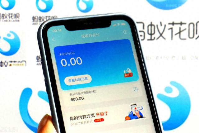 花呗逾期20天全额结清，花呗逾期20天全额结清会怎样 配图01