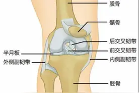 前叉韧带重建患者在家如何康复训练？图片
