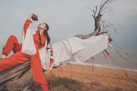旧版《笑傲江湖》第十六回 盟主旗令图片