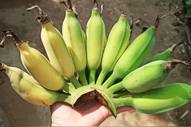 农村特色美食：烤芭蕉，吃过的人都夸它味道好图片