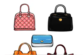 口语话题练习：Bags图片