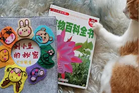 怀念，包书皮儿的小时候；定制，一本书的外套。图片
