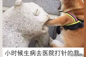 梗图合集：小时候生病去医院打针的我图片