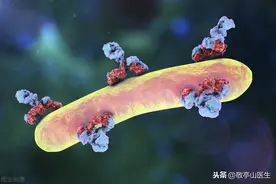挂氨基酸、白蛋白、球蛋白对身体真有好处？告诉你事实真相图片