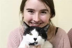 走失3年的奶牛猫竟被找回，主人难以置信，网友：最好的圣诞礼物图片