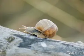 社会上的一些闲人是靠什么谋生的？其实这就是市井江湖图片