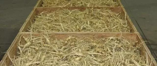 鏋佸湴澶╃劧瑗挎磱鍙傦紝鍛婅瘔浣犱笉鐭ラ亾鐨勫仴搴风瀵? onerror=