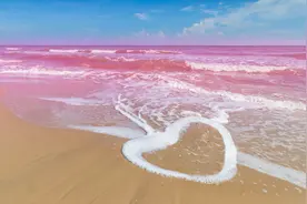 粉色沙滩，真的太美啦图片
