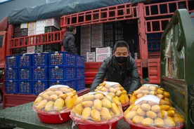 完善农产品供应链促进农村经济发展研究图片