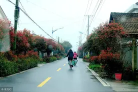 辟谣：2019年三车共治正式启动，三车禁止上路？到底咋回事？图片