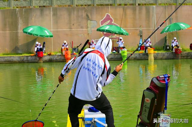 钓鱼人慎用，官宣“3秒中鱼”的珠珠饵，原来是款毒饵