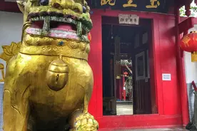 走进都江堰玉皇观，年近80的老道长独守道观，身边就两只狗陪伴图片