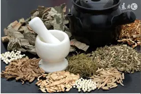 常见中药掺假鉴别方法整理共享图片