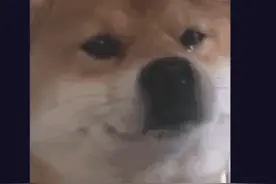 等了一年，LOL手游10月27日公测！玩家：又没有中国大陆？图片