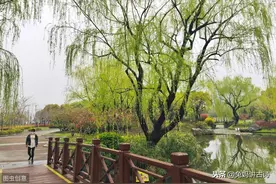 看多听多了五言绝句、七言绝句，来欣赏一下这首六言绝句吧图片
