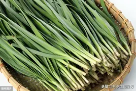 韭菜，割完一茬又一茬图片