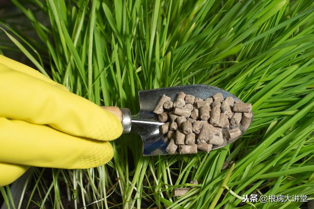 诺基尔：不起眼的氨基酸，原来你这样的了不起