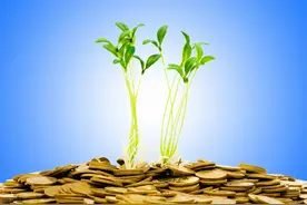 中央农办等七部门联合印发《关于扩大农业农村有效投资 加快补上“三农”领域突出短板的意见》图片