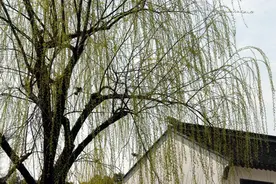 村前，这座无锡北乡小村走出了多位人才俊杰图片