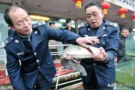 江苏人大发布渔业新政，这几类钓鱼行为，将面临高达2万处罚图片