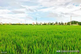 村民不愁宅基地无偿收回了，除这三情况外，村委会无权宅基地回收图片