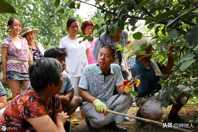 姘ㄥ熀閰歌偉鏂欑湡鐨勫緢鍘夊锛佸叏闈㈣В璇绘皑鍩洪吀鑲ユ枡瀵瑰湡澹や綔鐗╃殑浣滅敤