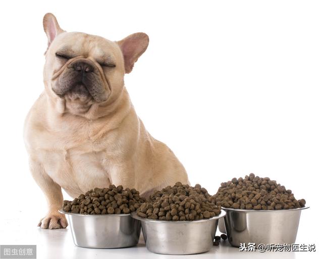 辟谣：营养膏是狗狗每天必需品，兽医：没这些疾病不需要吃营养膏