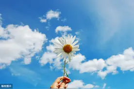 散文：夏日味道图片