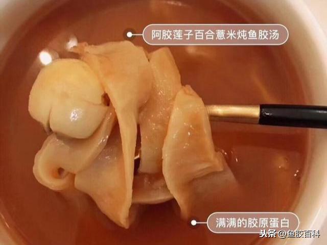 瑶柱可以喝当归黄芪花胶 2026年瑶柱和花胶能一起吃吗