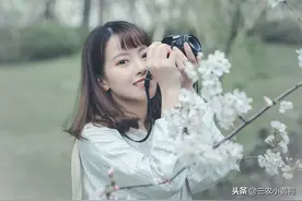 不要羡慕野外阳春的樱花，今天介绍的方法，你也可以在院中栽一株图片