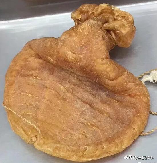 蜘蛛肚花胶 2026年蜘蛛花胶价格,做法,功效及图片大全